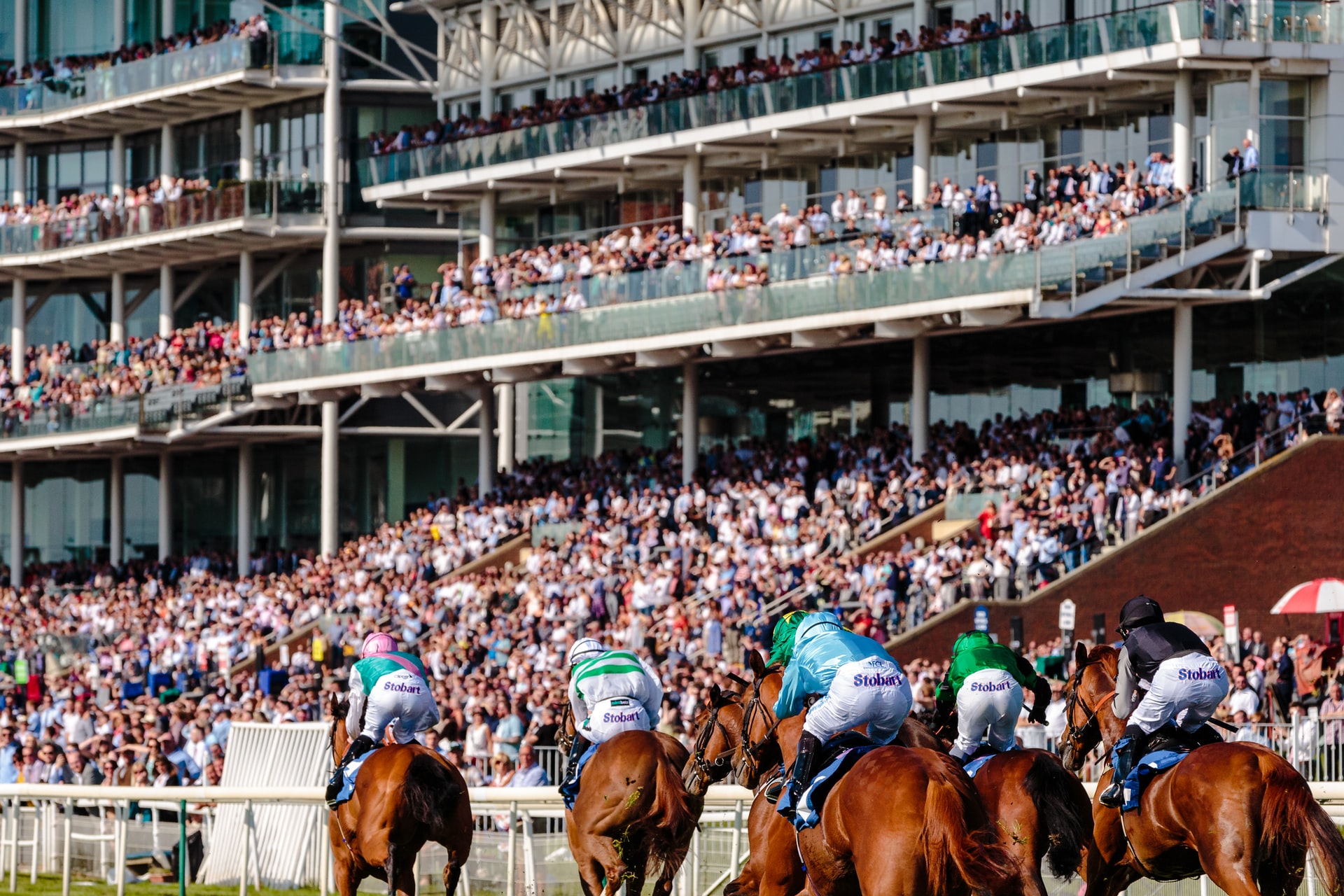 Here’s Where New Sports Bettors Should Place their Bets