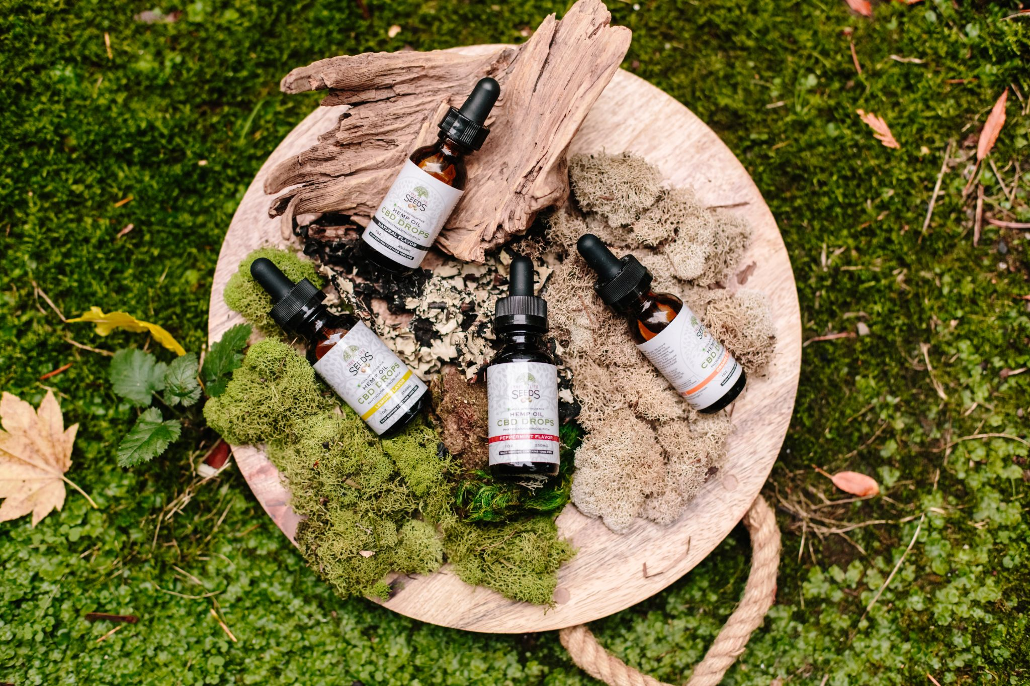 3 REASONS Why You Should Choose CBD