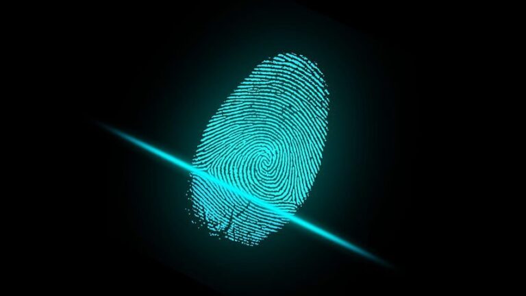 Role Of Biometric Recognition To Verify Identities In Medical Sector