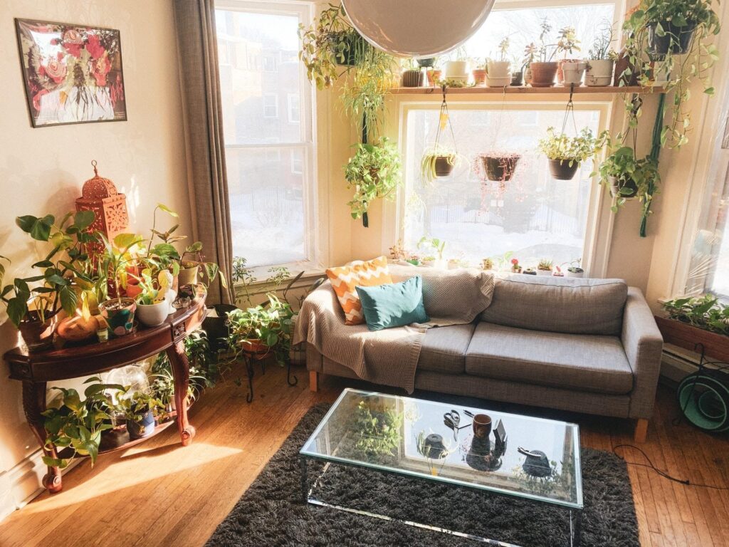 6 Tips for Taking Proper Care of Your Indoor Plants