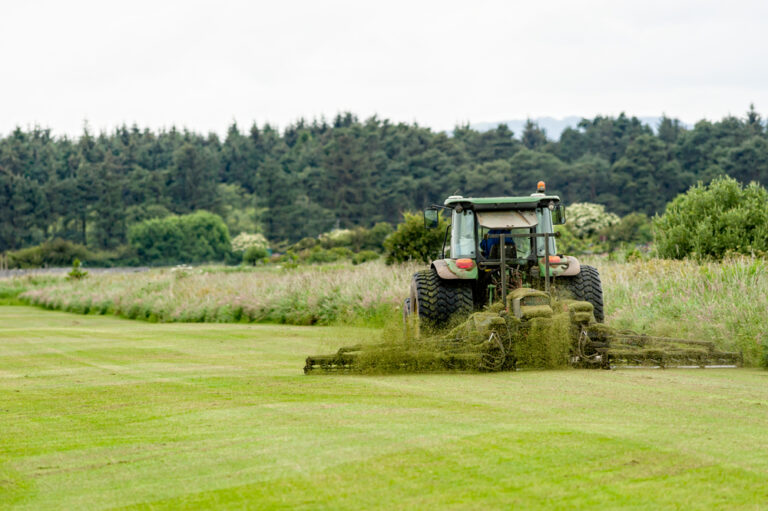 The Things You Must Know About Commercial Landscaping Houston: