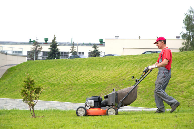 Groom the External Look of Your House via Landscaping