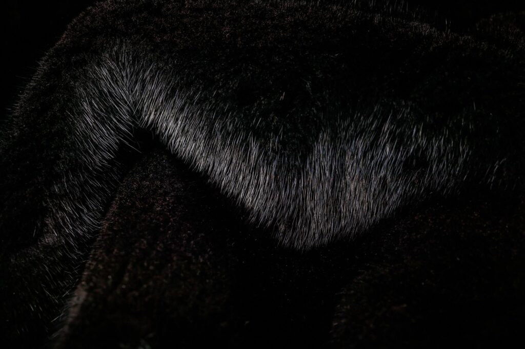 Why are Mink Fur Coats so Popular Around the World?