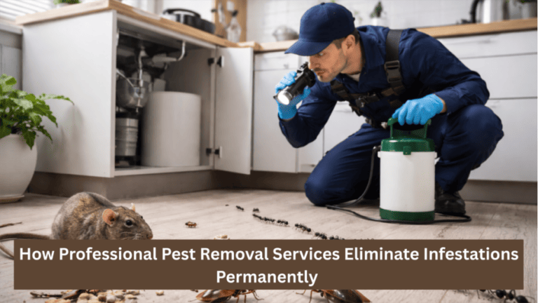 How Professional Pest Removal Services Eliminate Infestations Permanently