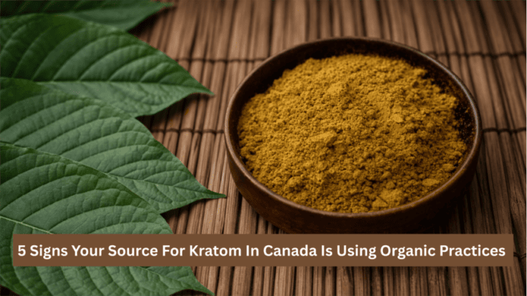 5 Signs Your Source For Kratom In Canada Is Using Organic Practices