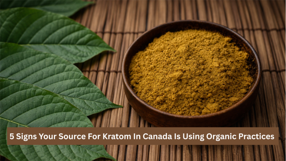 5 Signs Your Source For Kratom In Canada Is Using Organic Practices