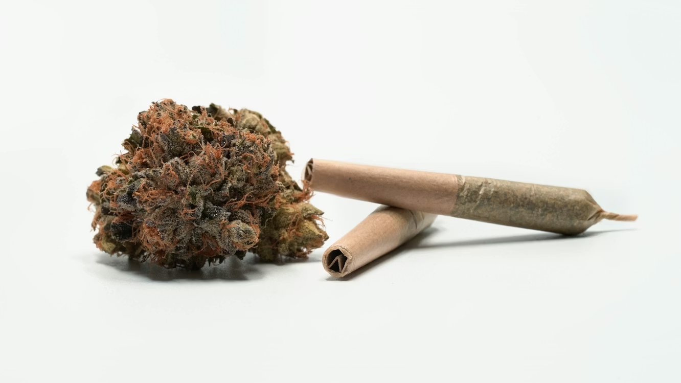 Biscotti Cake Weed Strain: What Is the Best Phenotype To Choose