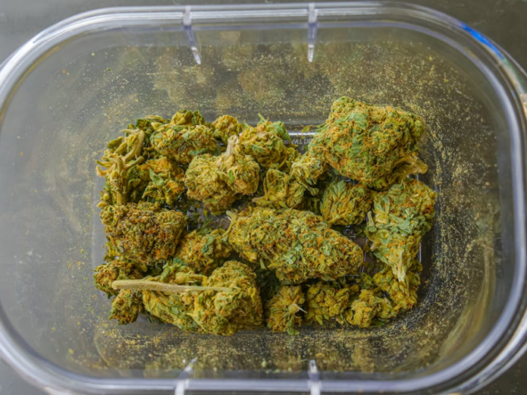 Jolly Rancher Weed Strain: Full Effects and Flavors Guide 