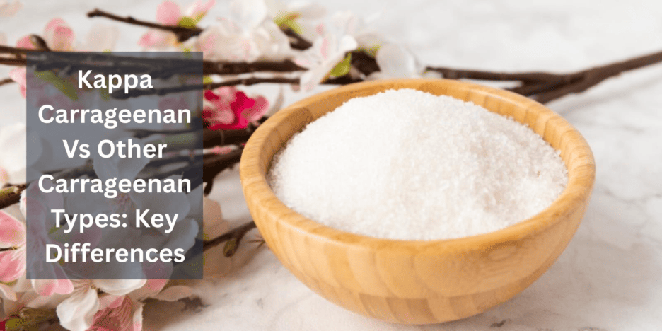 Kappa Carrageenan Vs Other Carrageenan Types: Key Differences 