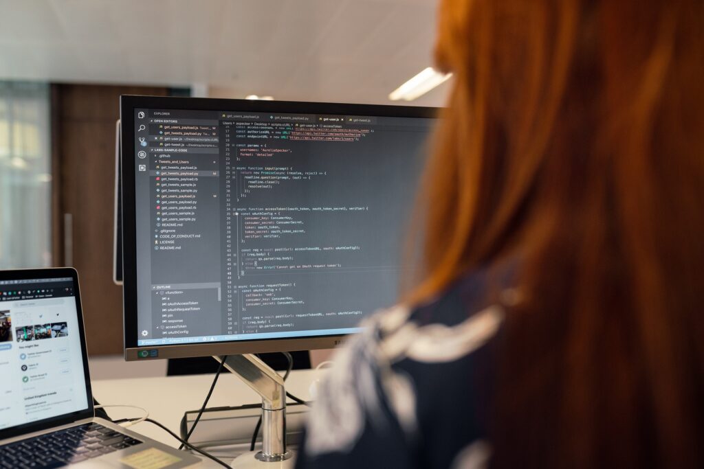 Balancing Accessibility With Security in Community Service Software