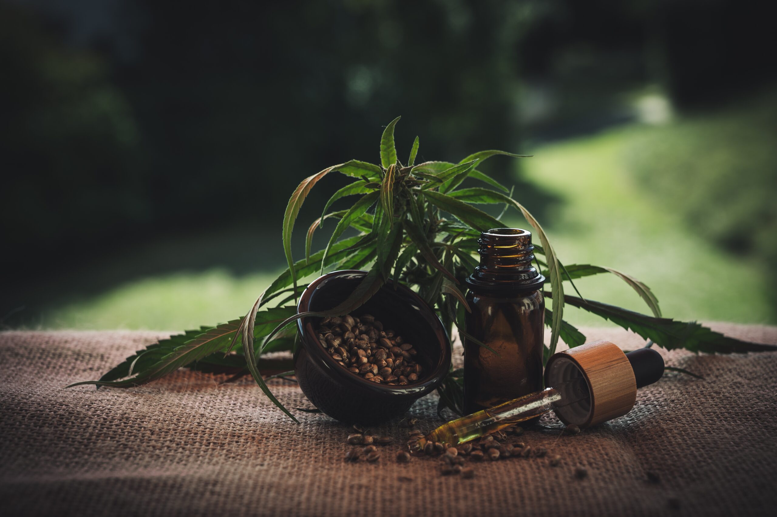 A Guide to Making CBD Oil Gummy Bears
