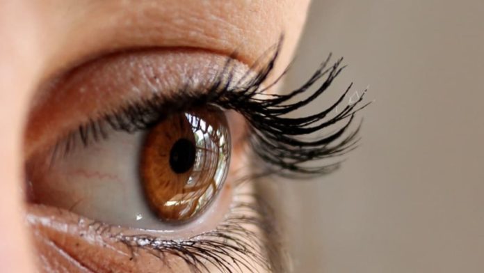 Why You Should Invest In Eyelash Extensions