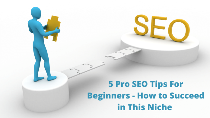 5 Pro SEO Tips For Beginners How to Succeed in This Niche